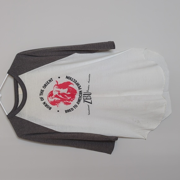 Vintage 1980s Men's Raglan Sleeve Tee Shirt Ebert Sportswear Zebu Breeders Sz XL - Picture 1 of 12